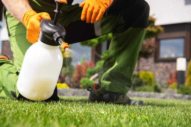 Insect Control in Shasta, CA